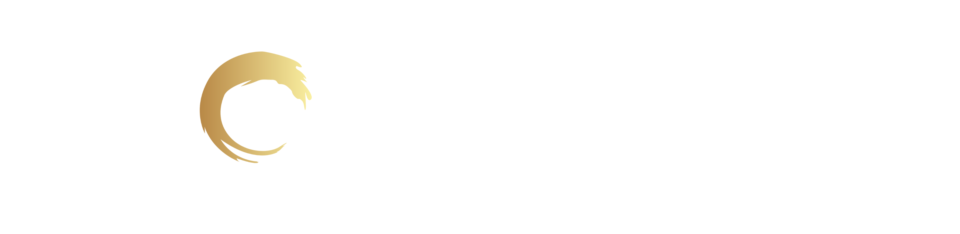 Zen Builder AI